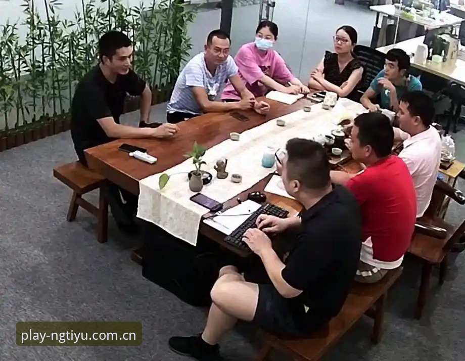 资深行业观察者深度解读：2026ng体育赛事趋势与使用心得实战经验