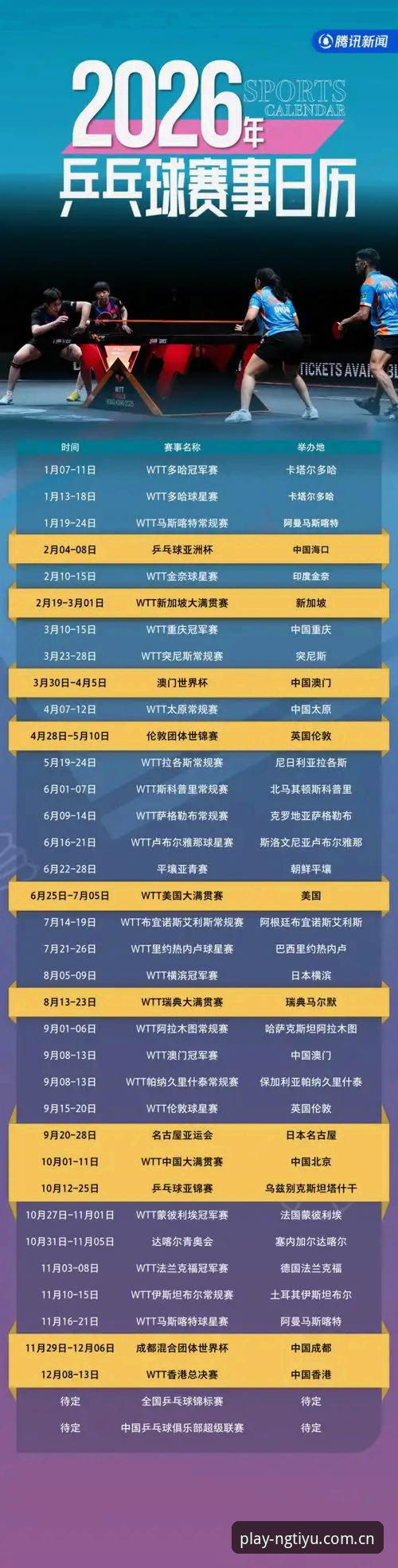 NG体育平台更新版本详解：哪个版本更适合你的运动观赛需求？